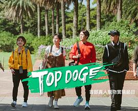 鲍鱼直播《TOP DOG》免费在线观看