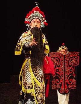 鲸鱼传媒《袁崇焕2009》免费在线观看